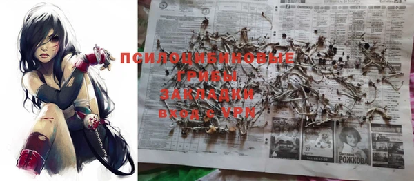 спайс Билибино