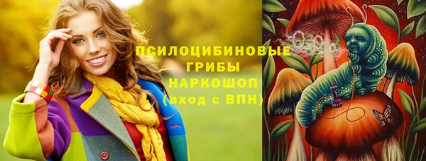 таблы Бикин