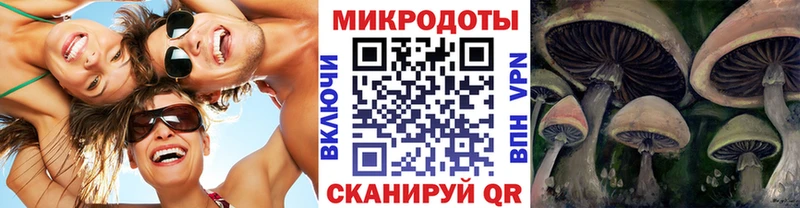 даркнет сайт  Жигулёвск  сайты даркнета Telegram  Псилоцибиновые грибы Psilocybe 